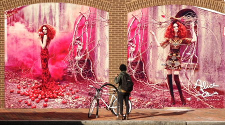 Alice + Olivia on 3303 M Street