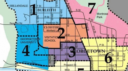 Current ANC Single Member Districts