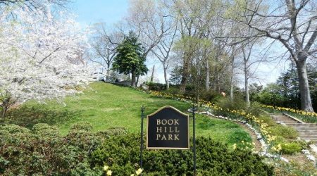 Friends of Book Hill
