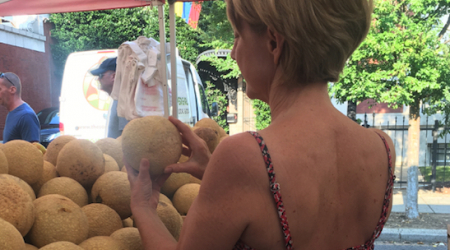 Katherine Choosing Ripe, Medium Ripe and Unripe Flavorburst Cantaloupe and Spring Valley Orchard &amp; Farm of W.VA Early in the am!
