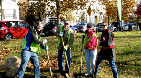 Tree planting in Rose Park