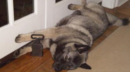 Nina in her summertime superman pose