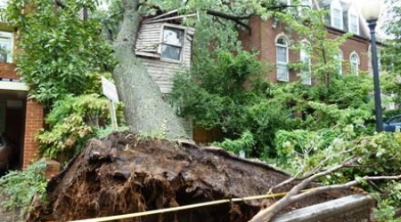 A tree fell during Hurricane Irene, crushing most of the home's second story.