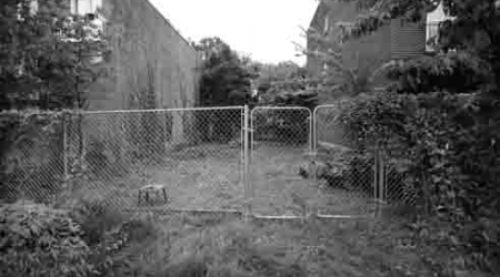 Urban Archaeology Corps interns cleared brush from the vacant lot Monday.