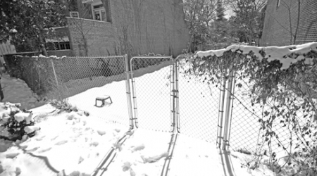 The Georgetown  commission is asking that no building permits be issued  until an archaeology investigation is completed.