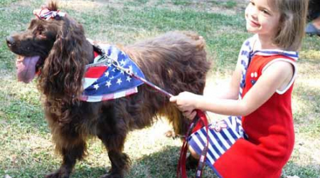 Bella, Best in Show Boykin Spaniel with Lily-Beth Nelson, 2010
