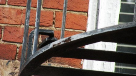 Close-up of Dumbarton House bricks