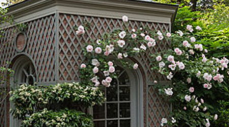 georgetowngardenclubdc.org