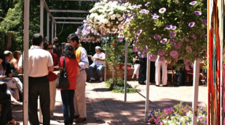 The Georgetown Dish image