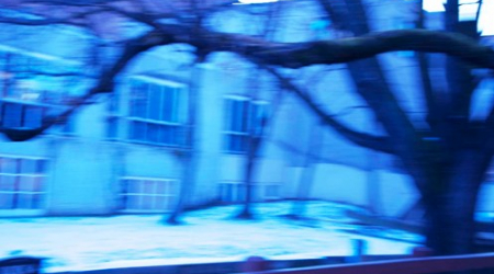 From the triptic Canal Blue Trees Freeze