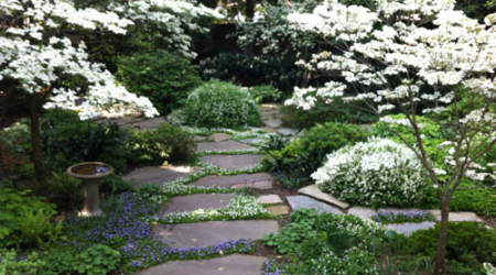 Georgetown Garden Club