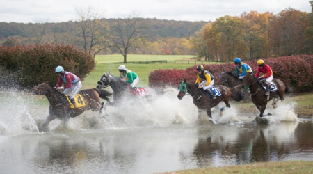 78th Gold Cup at Great Meadow