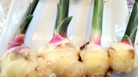 Fresh Ginger from Fresh Farm Market at Dupont Circle