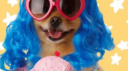 Cupcake Girl Dog Costume
