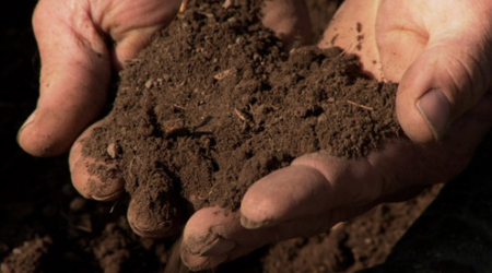 Symphony of the Soil