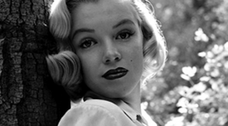 The Georgetown Dish image