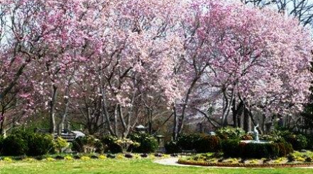 Oak Hill Cemetery, Spring 2012