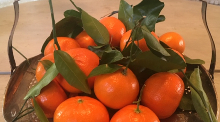 Mandarine Oranges
