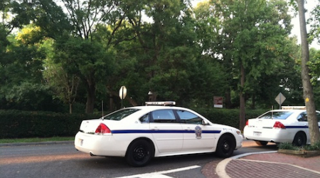 Police at Montrose Park after a suspect gets away