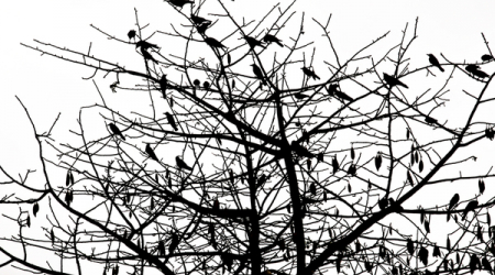 Paul Jett, 2014 archival pigment print; photograph