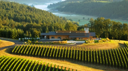 Lynn Penner Ash Winery on the Ribbon Ridge of the Willamette Valley in Oregon