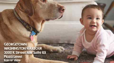 coldwellbankerhomes.com