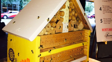 Pollinator Bee Hotel in Lobby