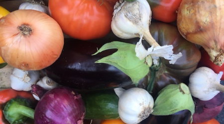 Vegetables for Nora's Ratatouille Recipe - Found at Twin Springs Fruit Farm in Ortanna, PA (90 Miles From DC)