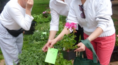 Mary Carroll Platt, Leslie Wheelock and Jenny Mottershead