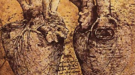 Leodardo da Vinci's rendering of the heart