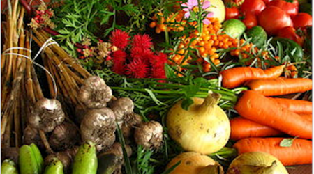 Organic Vegetables at a Farmers' Market