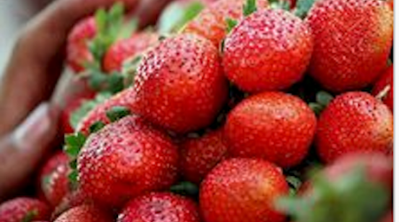 Try Mike Gardner's Summer Strawberry and Goat Cheese Salad