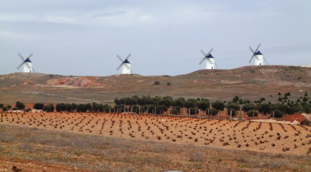 ICRDO La Mancha