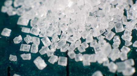 Magnification of grains of refined sucrose, the most common free sugar