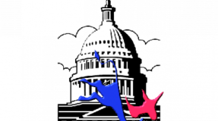 D.C. Democrtic State Committee logo