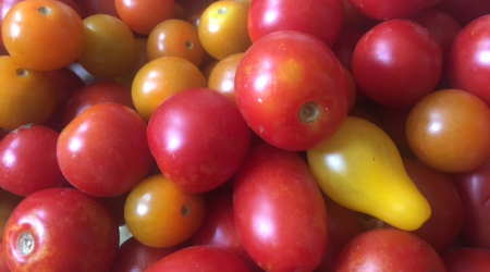 Cherry Tomatoes from Quaker Valley Farm at the Wednesday Rose Park Farmers Market