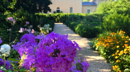 Tudor Place garden