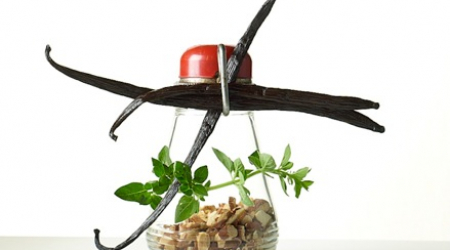 Cook's Plump Vanilla Beans