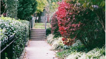 Volta Park
