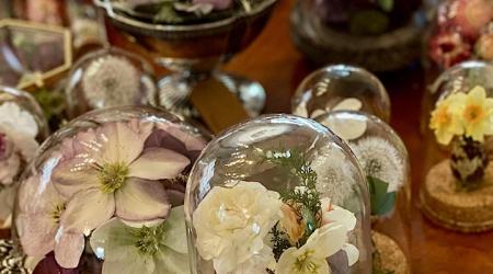 Dried Flower Domes