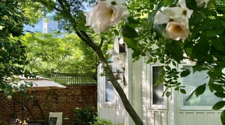 Constance Chatfield-Taylor's Georgetown Garden