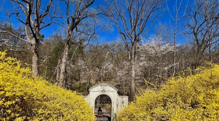 Dumbarton Oaks