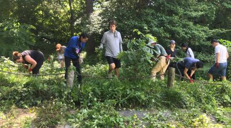 Tudor Place weeders