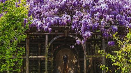 Dumbarton Oaks Gardens