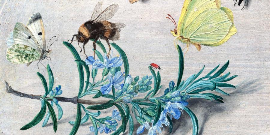 Jan van Kessel the Elder, Insects and a Sprig of Rosemary, 1653