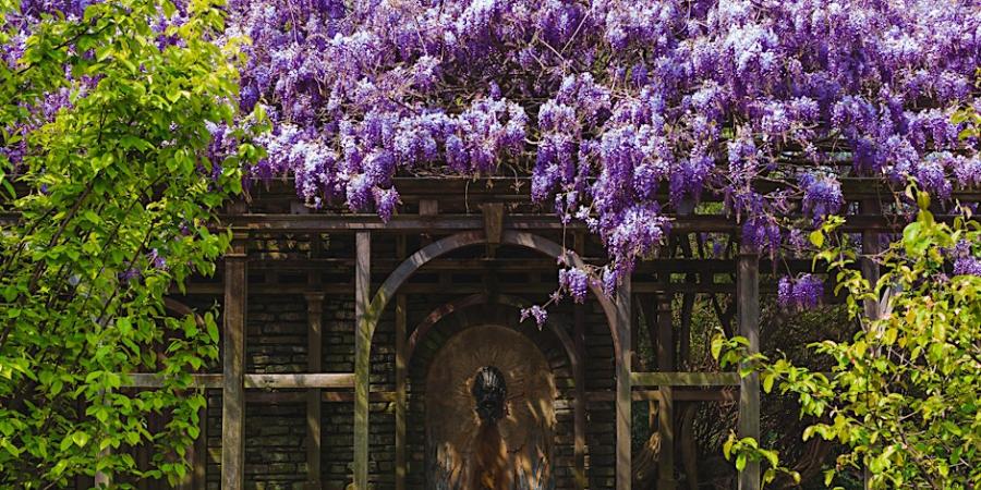 Gardens at Dumbarton Oaks