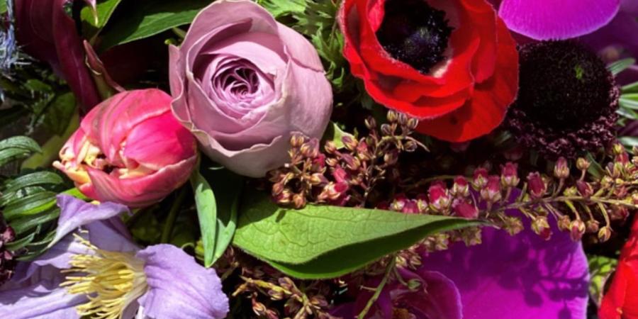 Ultra Violet Flowers