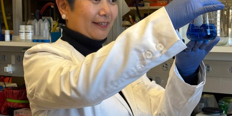 Dr. Kan Cao