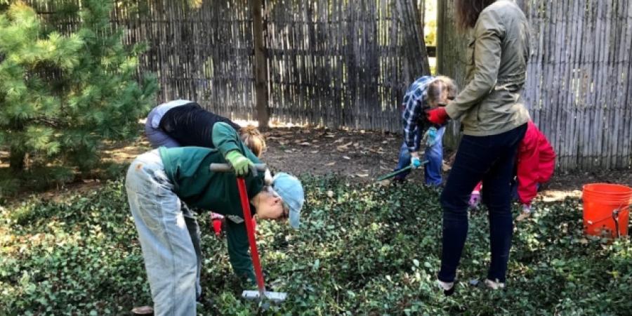 Weekend Weeders