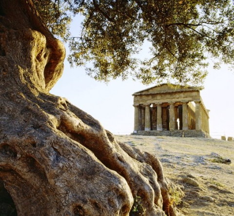 Absolute Sicilia Absolute Sicilia